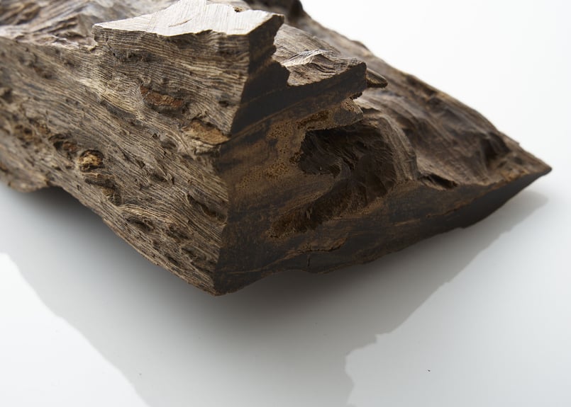 香木 沈香 香木 仮銘「うすき衣」寸門陀羅（沈香）0.4g | KOGADO STORE