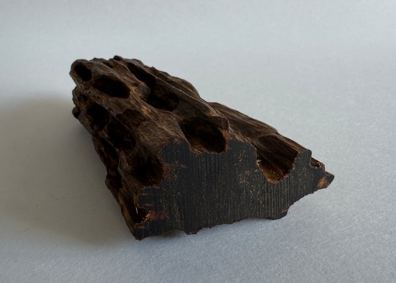 香木 仮銘「春の夜」伽羅0.25g | KOGADO STORE