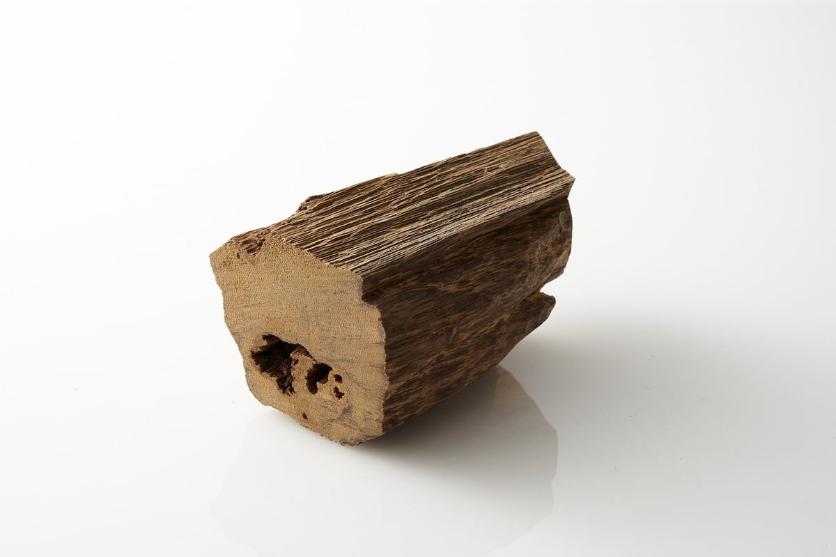 香木 仮銘「雪間の草」 羅国(沈香) 0.6g | KOGADO STORE 香木 仮銘「雪間の草」 羅国(沈香) 0.6g | KOGADO STORE