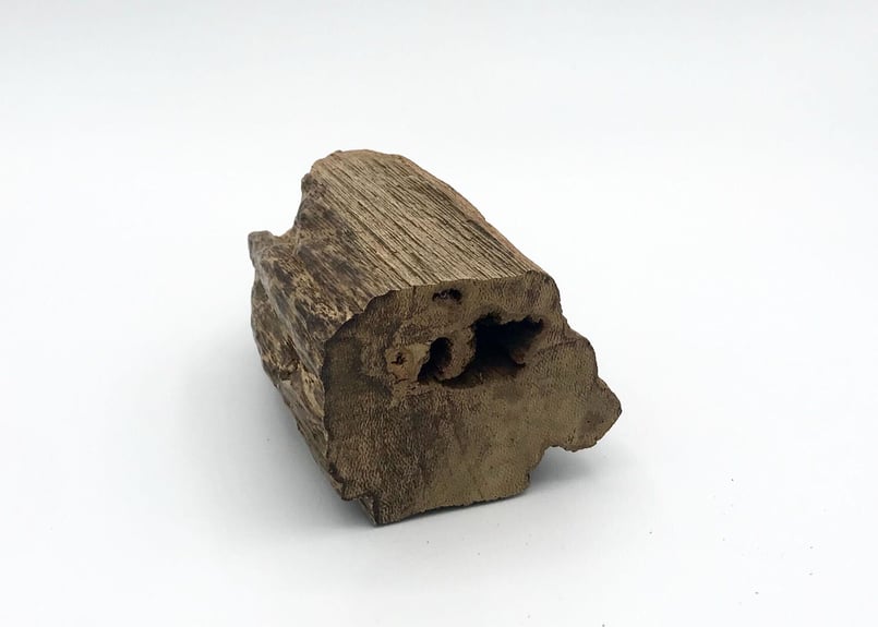 香木 仮銘「雪間の草」 羅国（沈香） 0.6g | KOGADO STORE