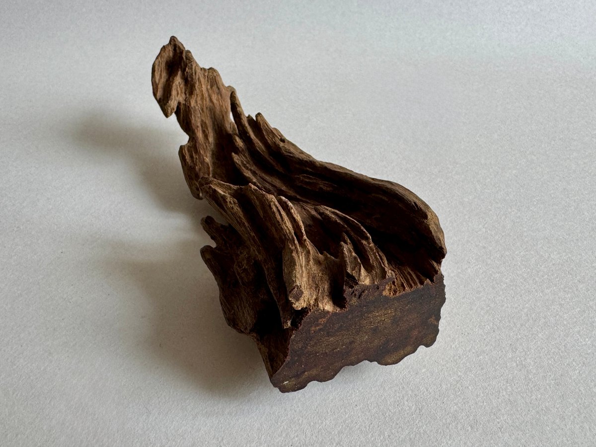 香木 仮銘「羽音」伽羅0.25g | KOGADO STORE