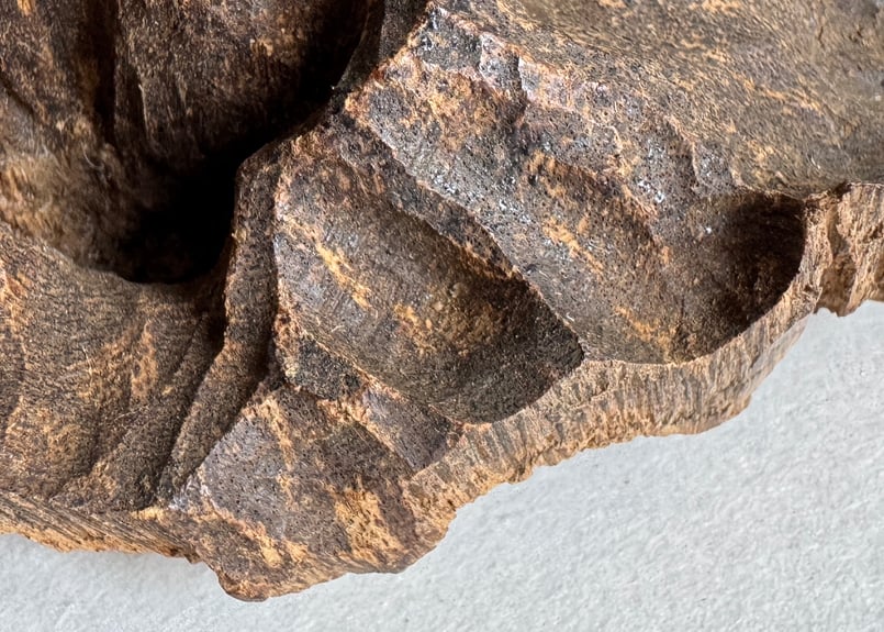 香木 仮銘「消えせぬ雪」 真南蛮（沈香） 0.4g | KOGADO STORE