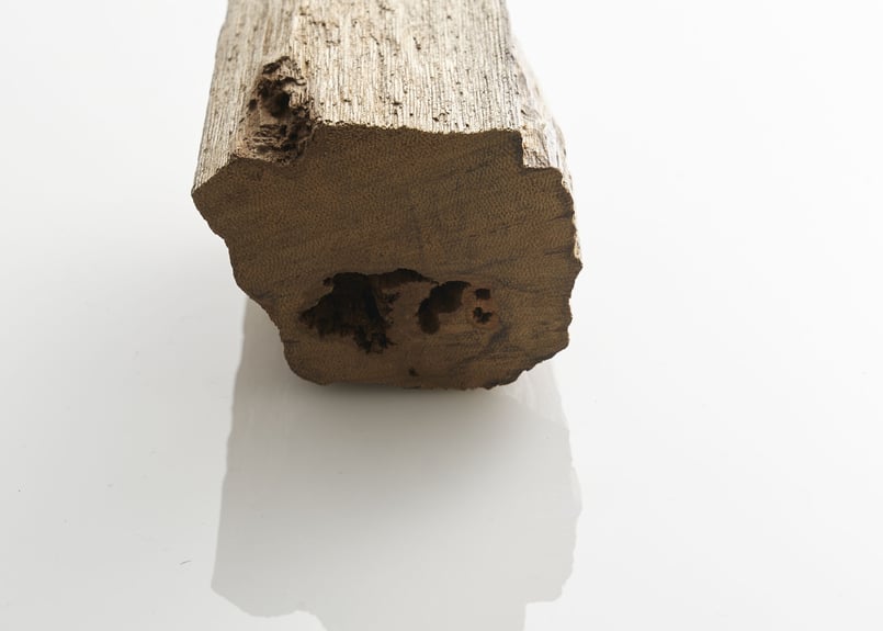 香木 仮銘「雪間の草」 羅国（沈香） 0.6g | KOGADO STORE