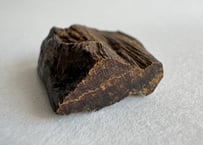 お値下げしました！再入荷!!  伽羅黒油10g 最上質黒油伽羅（刻み） 0.5g | KOGADO STORE