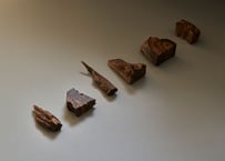 聞香会～さまざまな佐曽羅を聞き比べる～ の香木セット | KOGADO STORE