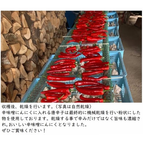 辛味噌にんにく「Flavor」（フレーバー）【送料別】