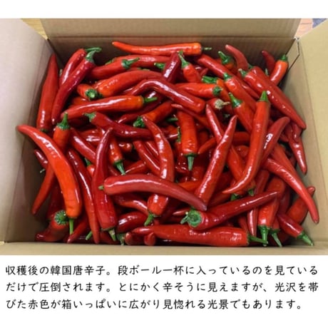 辛味噌にんにく「Flavor」（フレーバー）【送料別】