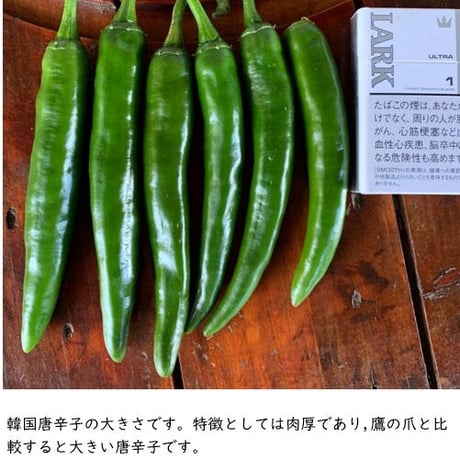 辛味噌にんにく「Flavor」（フレーバー）【送料別】