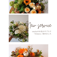 ewaluお花の記念日サブスク「３times」MLサイズ