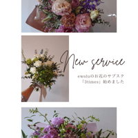 ewaluお花の記念日サブスク「３times」Lサイズ