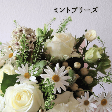 ewaluお花の記念日サブスク「3times」Mサイズ