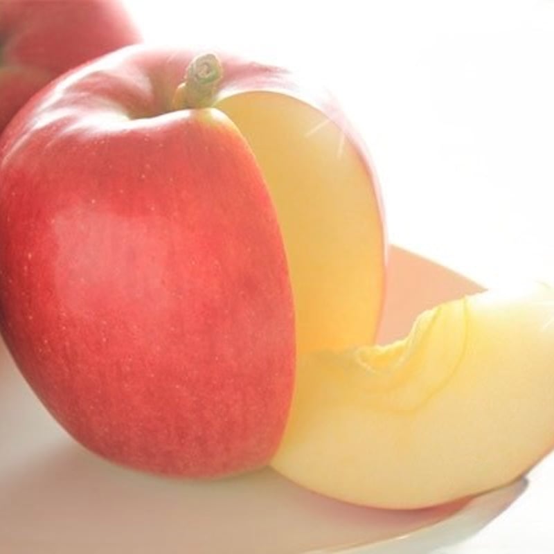 シナリー　エコバースNなど　えりんこ様 Sinary シナリー エコル エコバース / ニュータイプ ( 入浴料