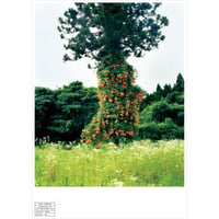 石川直樹 ポスター 能登・珠洲 x 3点 EYESCREAM＋ 石川直樹｜定期購読 - 雑誌のFujisan