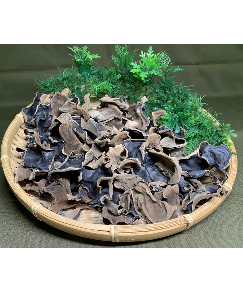 純国産】きくらげ詰め合わせセット 生きくらげ300ℊ 乾燥 純国産】きくらげ詰め合わせセット 生きくらげ300ℊ 乾燥