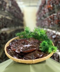 光市産 生キクラゲ 約3kg 光市産 生きくらげ 約3kg 光市産 生