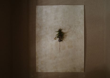 |Relief|DWL_177