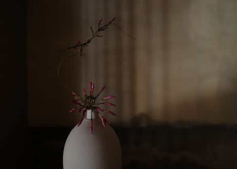 |Vase|DWL_154