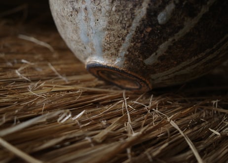 | Vase | DWL_223