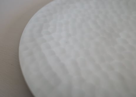| Plate | DWL_081