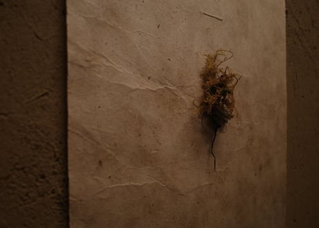 |Relief|DWL_177