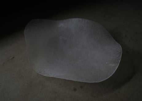 | Plate | DWL_221
