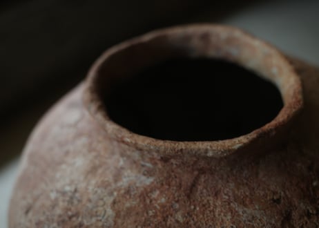 | Vase | DWL_198