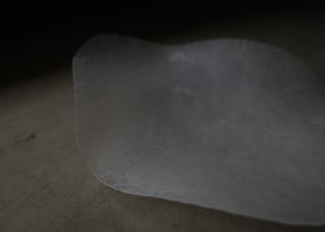 | Plate | DWL_221