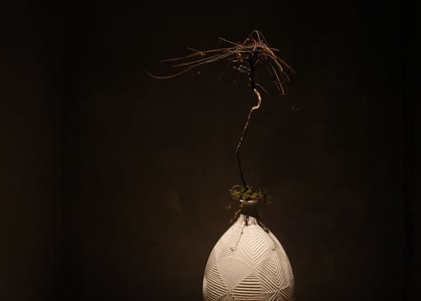 |Vase|DWL_179