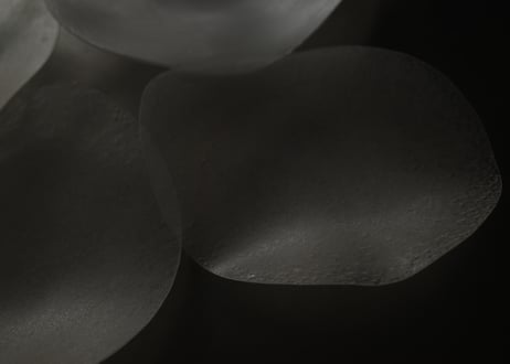 | Plate | DWL_221