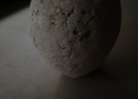 | Vase | DWL_195