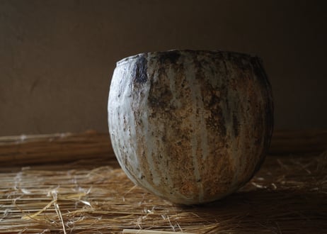 | Vase | DWL_224
