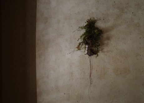 |Relief|DWL_177