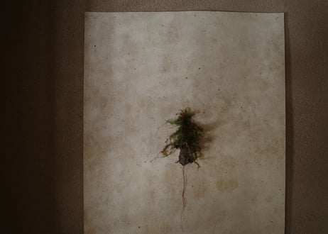 |Relief|DWL_177