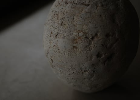 | Vase | DWL_195