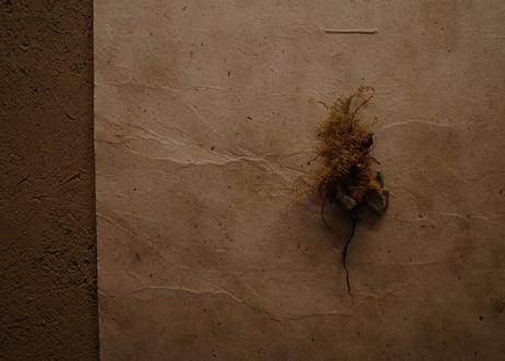 |Relief|DWL_177