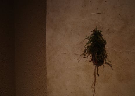 |Relief|DWL_177