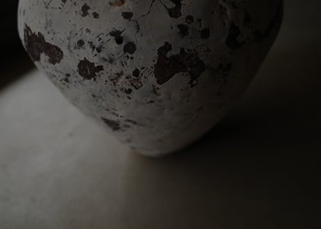 | Vase | DWL_197