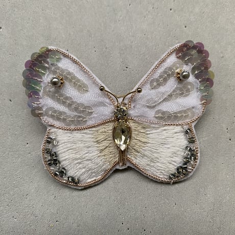 papillon du chou