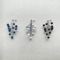 berry / 果実