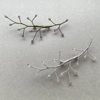 crystal berry / 結晶の果実