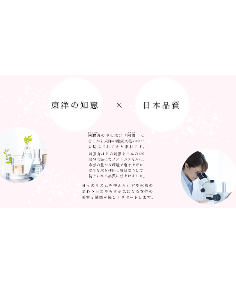 67d3e4a207d2c4842e27a6a3