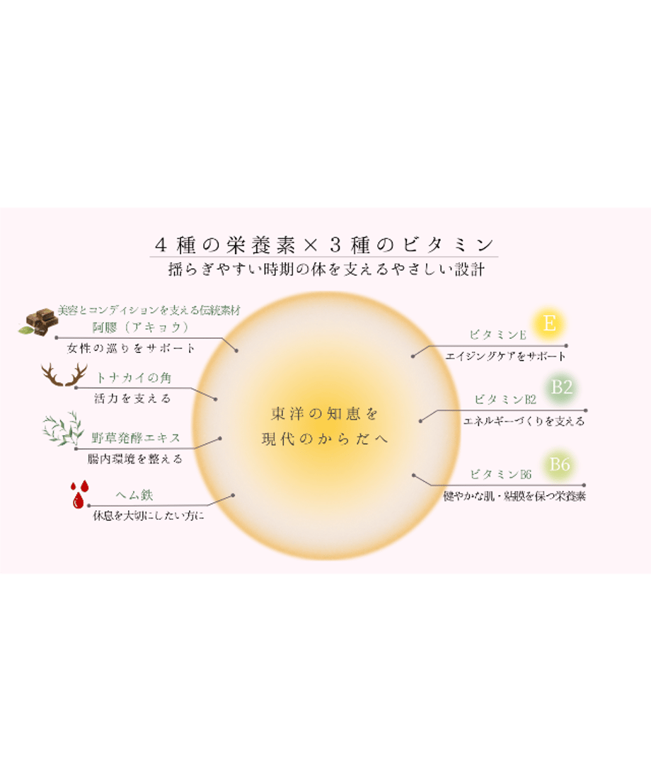 67d3e4a207d2c4842e27a6a3