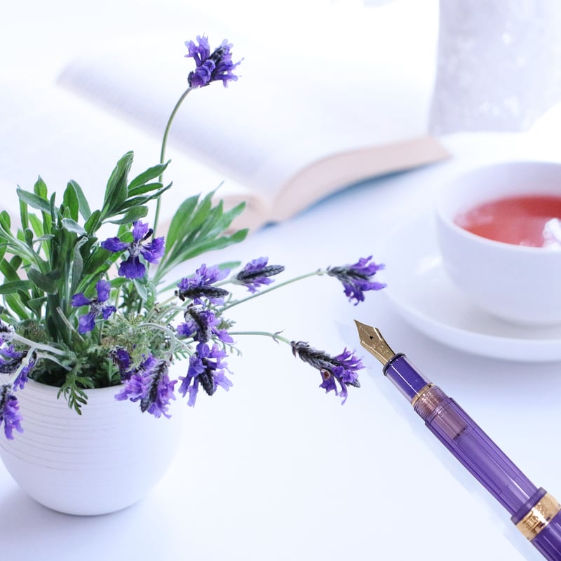 3776 センチュリー ニース ラヴァンド | PEN☆STARS