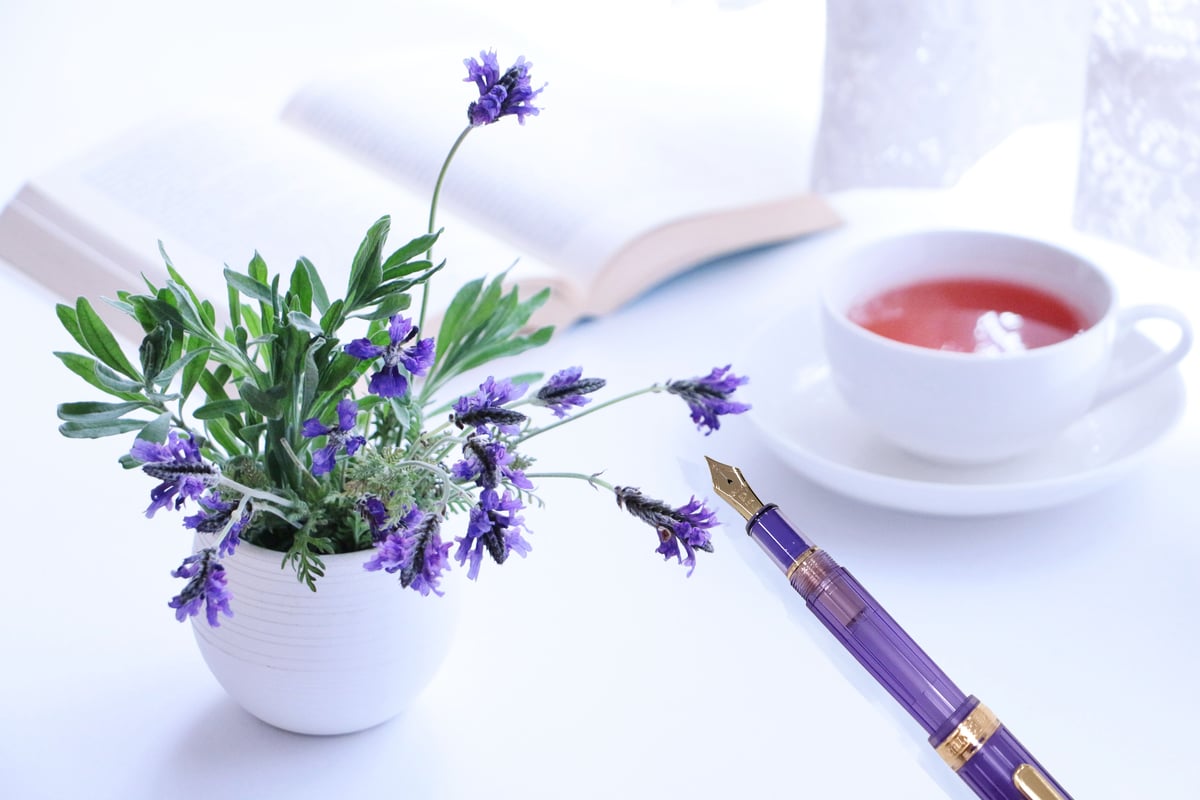 3776 センチュリー ニース ラヴァンド | PEN☆STARS