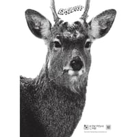 EXシカカカシ的（50枚/1SET）