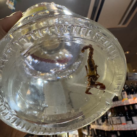 SCORPION MEZCAL　スコーピオンメスカル　ホーベン［正規］40度／750ml　※箱無し