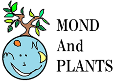 MOND And PLANTS  online store