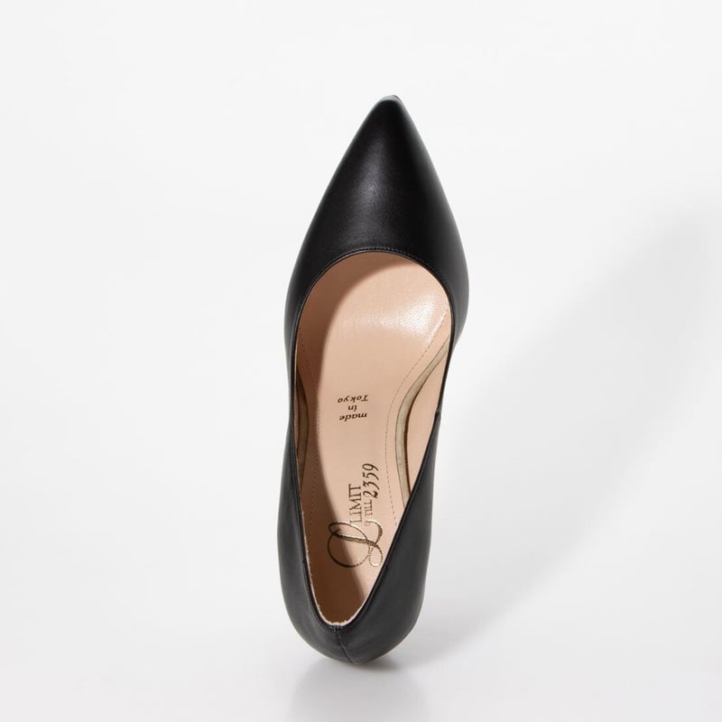 パイソンピンヒールパンプス / Python pin heel pumps L0209 (B
