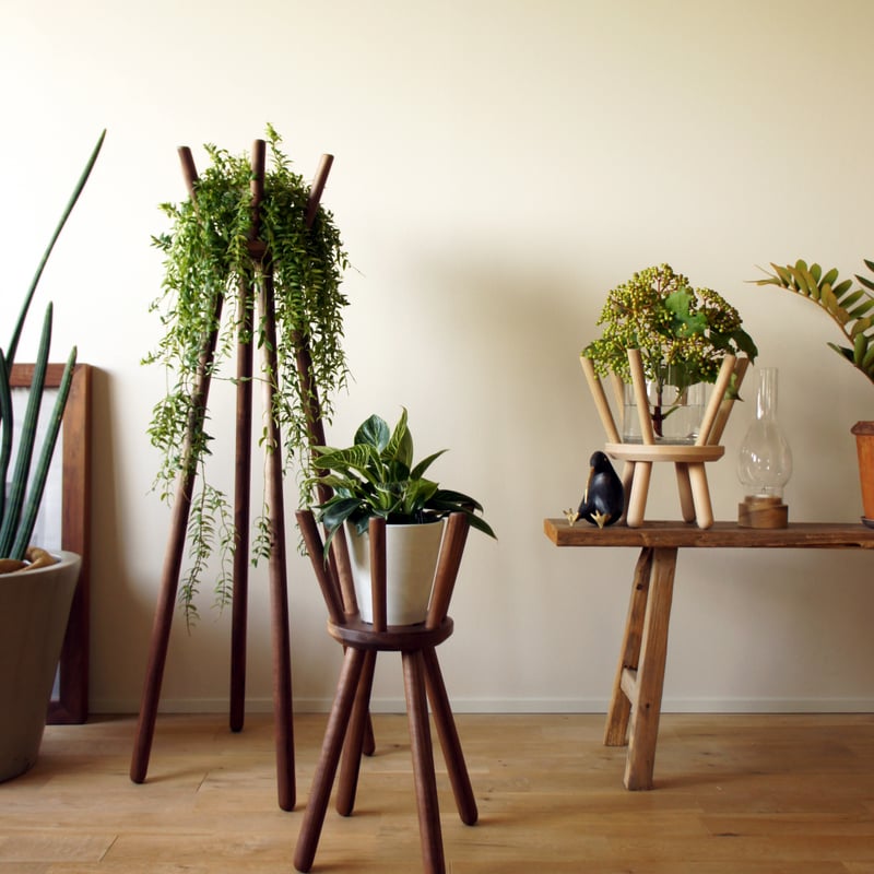Botanical Stool 'crown' Lｻｲｽﾞ | kaguseisakusho'