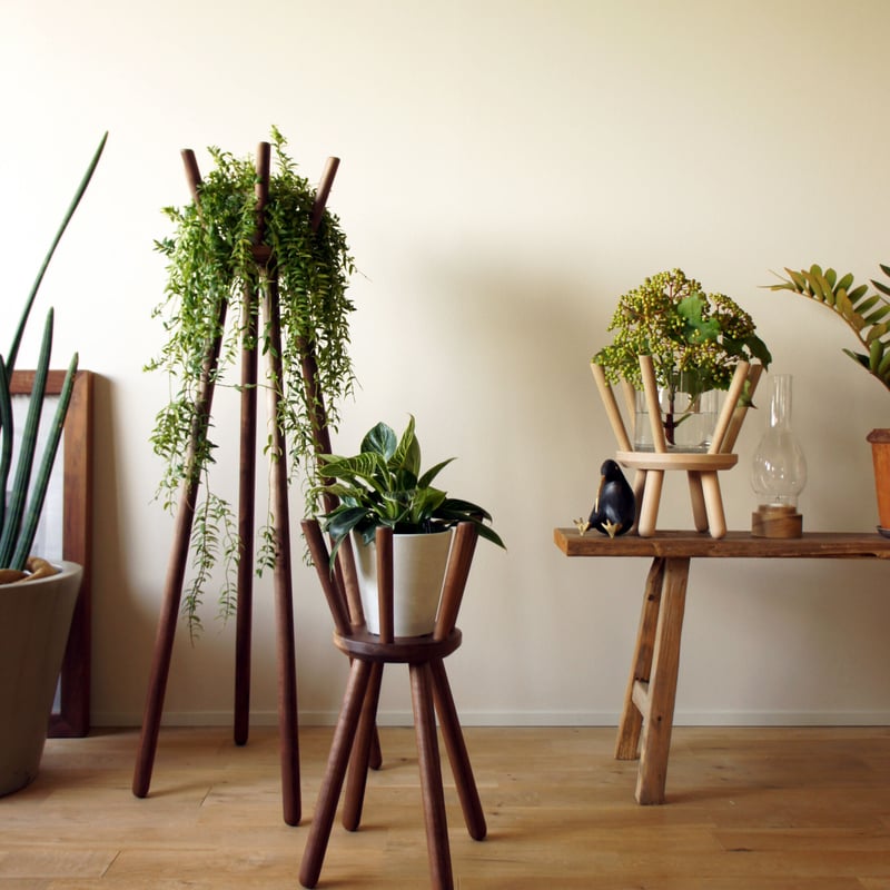 Botanical Stool 'crown' Mｻｲｽﾞ | kaguseisakusho'